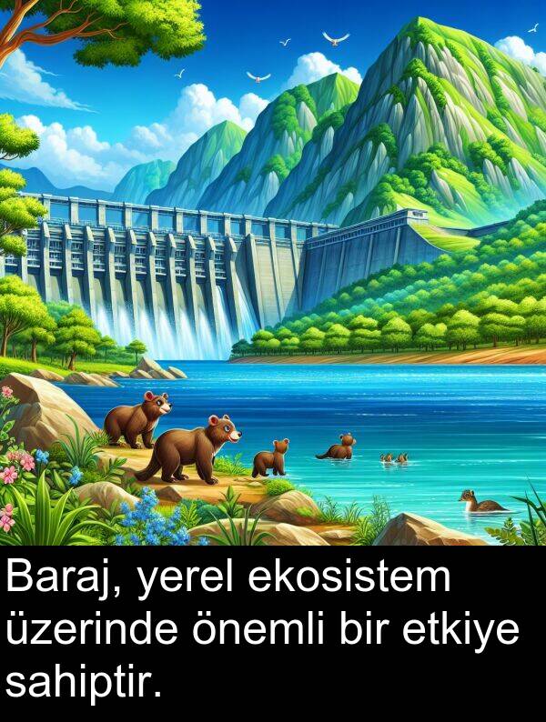 sahiptir: Baraj, yerel ekosistem üzerinde önemli bir etkiye sahiptir.