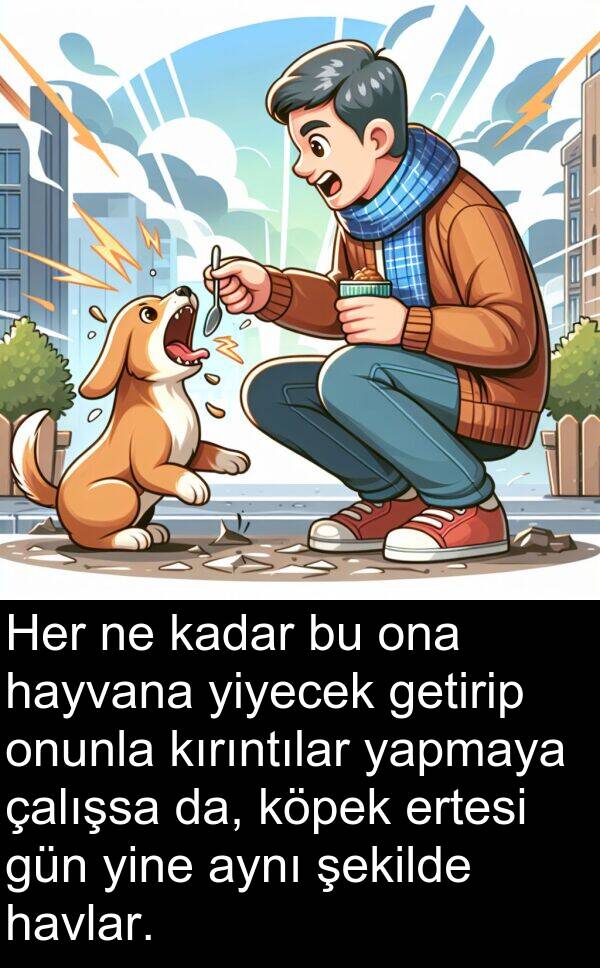 çalışsa: Her ne kadar bu ona hayvana yiyecek getirip onunla kırıntılar yapmaya çalışsa da, köpek ertesi gün yine aynı şekilde havlar.
