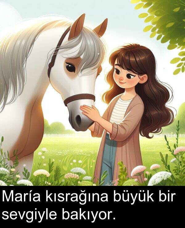 bakıyor: María kısrağına büyük bir sevgiyle bakıyor.