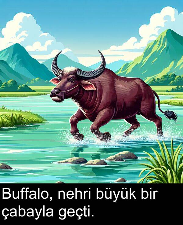 geçti: Buffalo, nehri büyük bir çabayla geçti.
