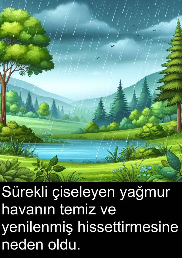 yağmur: Sürekli çiseleyen yağmur havanın temiz ve yenilenmiş hissettirmesine neden oldu.