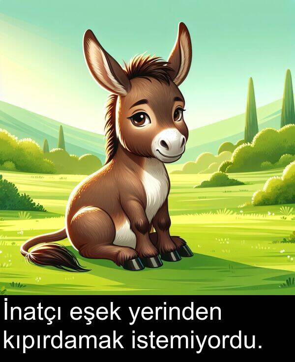 yerinden: İnatçı eşek yerinden kıpırdamak istemiyordu.
