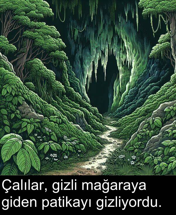 gizliyordu: Çalılar, gizli mağaraya giden patikayı gizliyordu.