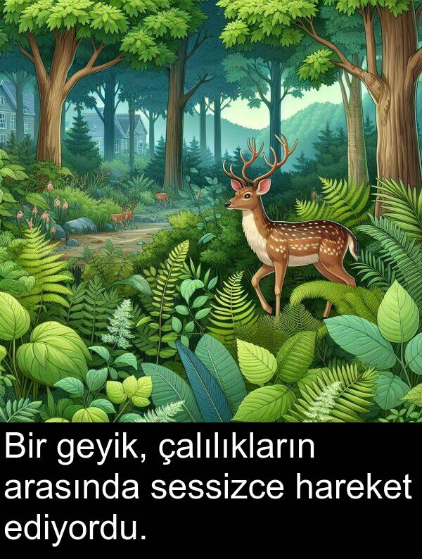 geyik: Bir geyik, çalılıkların arasında sessizce hareket ediyordu.