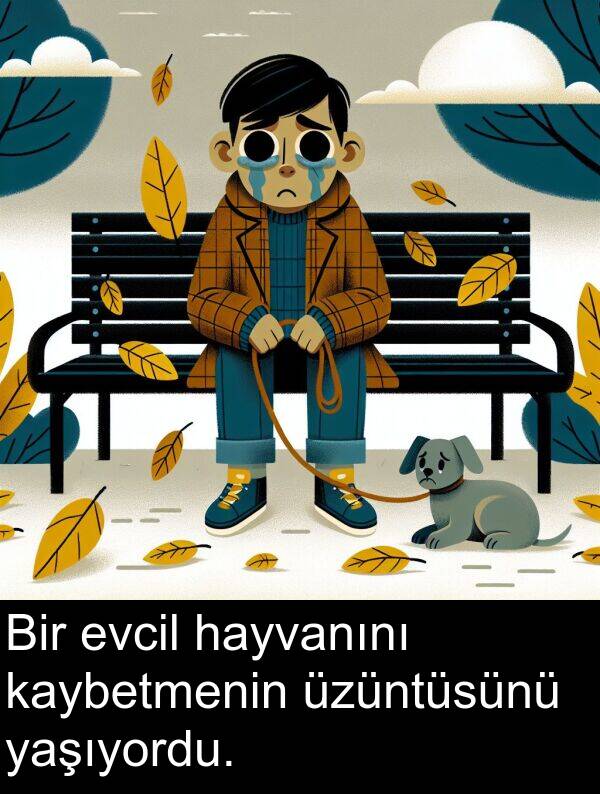 üzüntüsünü: Bir evcil hayvanını kaybetmenin üzüntüsünü yaşıyordu.