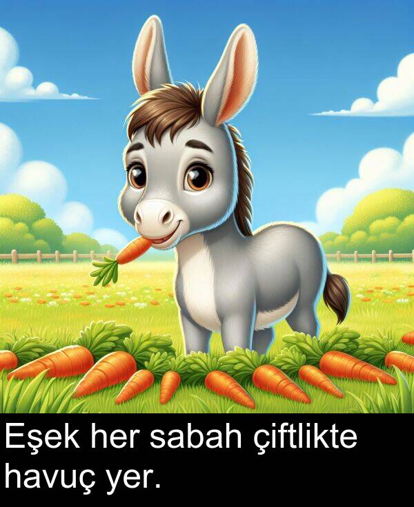 sabah: Eşek her sabah çiftlikte havuç yer.