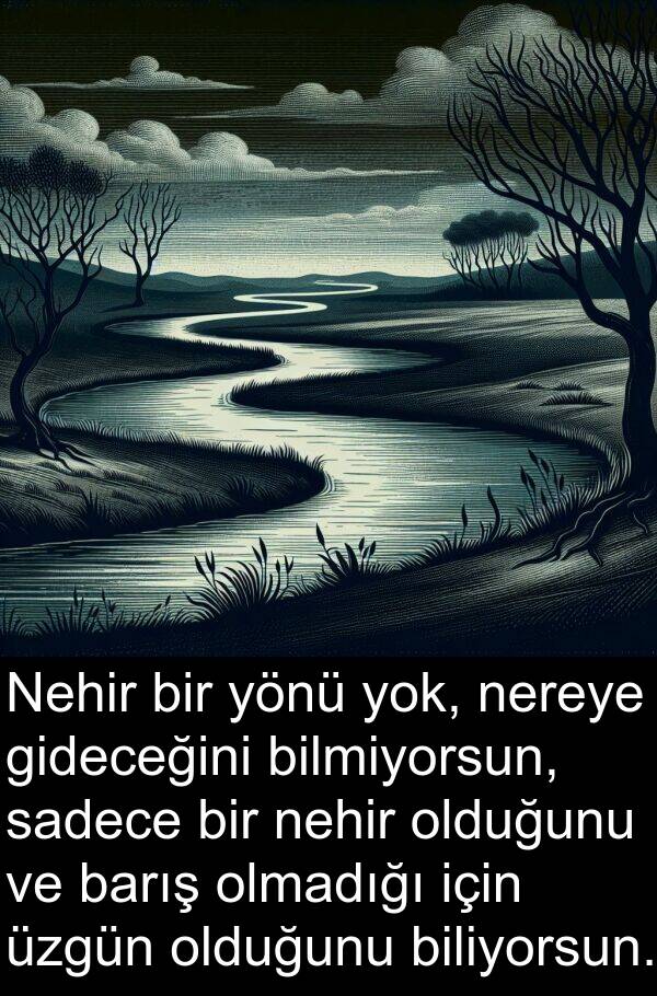 sadece: Nehir bir yönü yok, nereye gideceğini bilmiyorsun, sadece bir nehir olduğunu ve barış olmadığı için üzgün olduğunu biliyorsun.