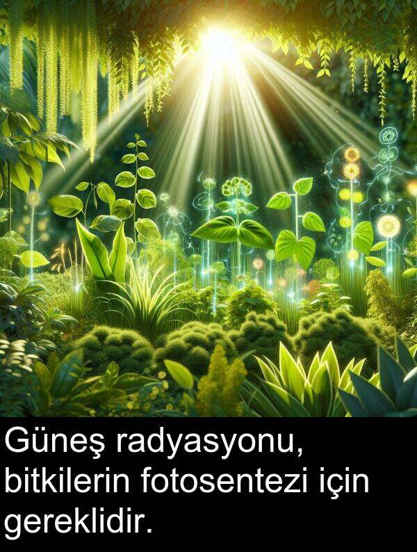 gereklidir: Güneş radyasyonu, bitkilerin fotosentezi için gereklidir.