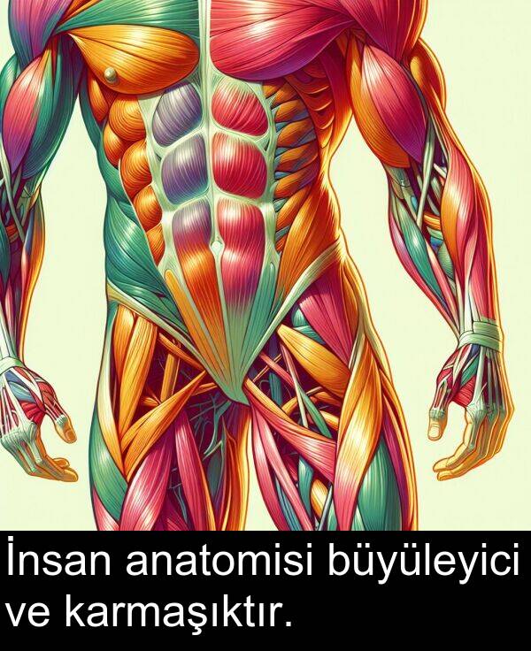 büyüleyici: İnsan anatomisi büyüleyici ve karmaşıktır.