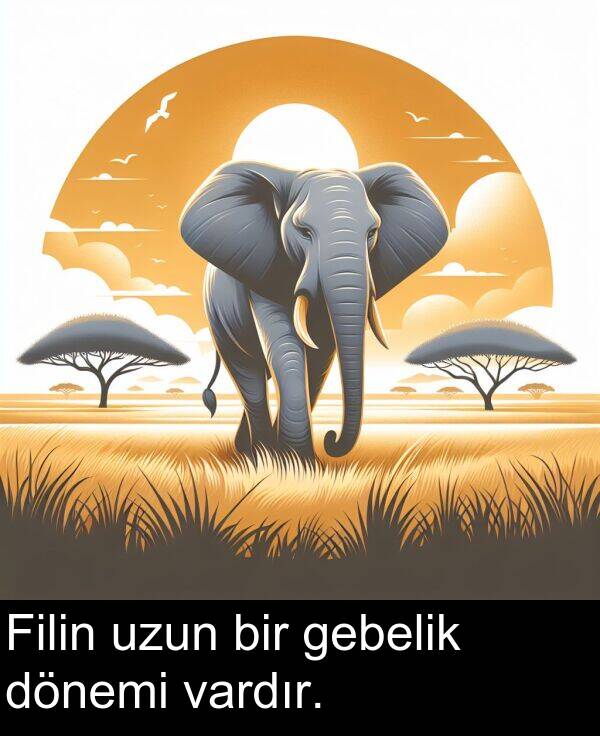 gebelik: Filin uzun bir gebelik dönemi vardır.