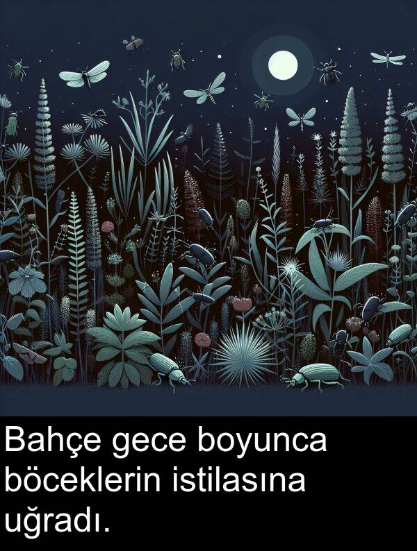 gece: Bahçe gece boyunca böceklerin istilasına uğradı.