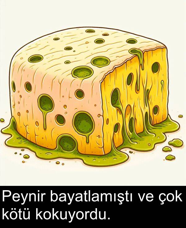 bayatlamıştı: Peynir bayatlamıştı ve çok kötü kokuyordu.
