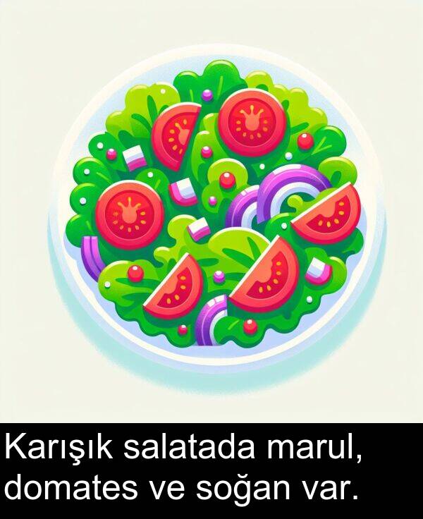 salatada: Karışık salatada marul, domates ve soğan var.