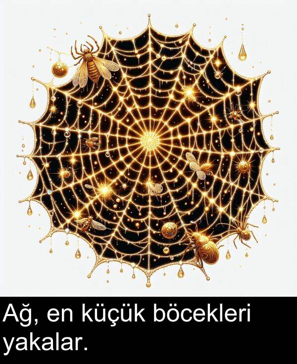 yakalar: Ağ, en küçük böcekleri yakalar.