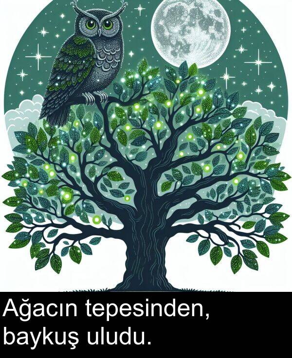 uludu: Ağacın tepesinden, baykuş uludu.