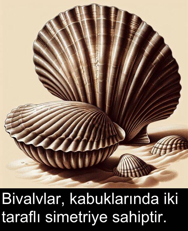 sahiptir: Bivalvlar, kabuklarında iki taraflı simetriye sahiptir.