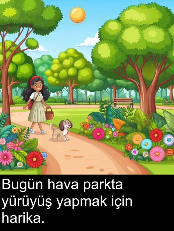 yapmak: Bugün hava parkta yürüyüş yapmak için harika.