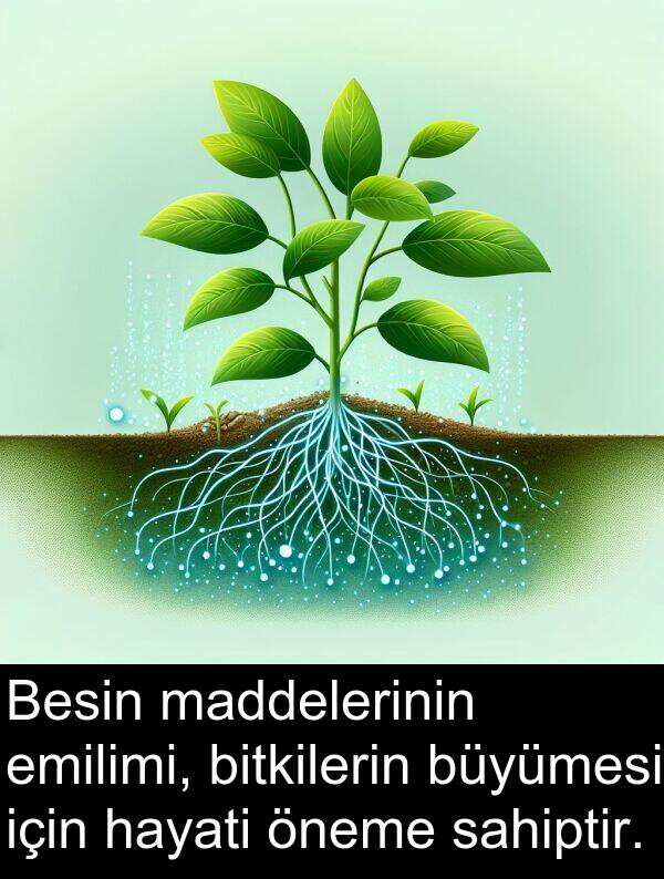 sahiptir: Besin maddelerinin emilimi, bitkilerin büyümesi için hayati öneme sahiptir.
