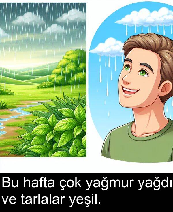 yağmur: Bu hafta çok yağmur yağdı ve tarlalar yeşil.