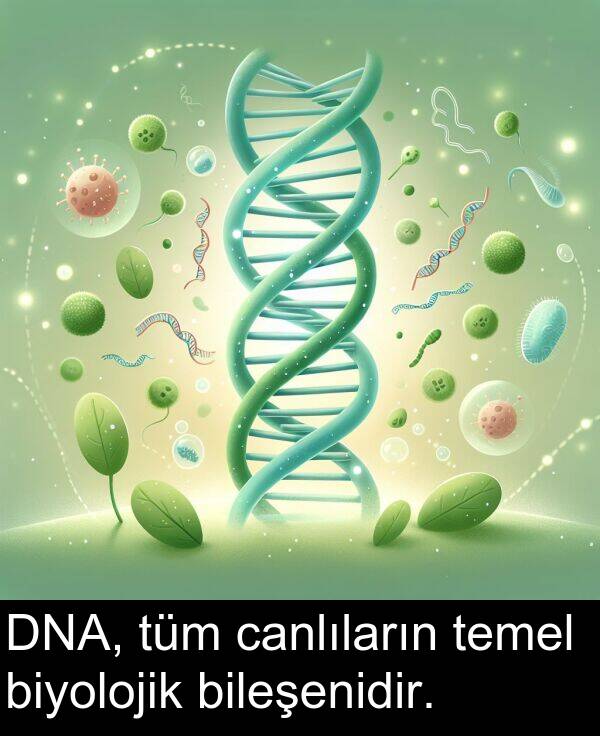 biyolojik: DNA, tüm canlıların temel biyolojik bileşenidir.