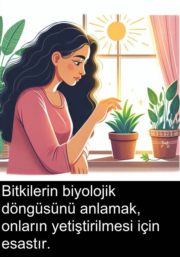 biyolojik: Bitkilerin biyolojik döngüsünü anlamak, onların yetiştirilmesi için esastır.