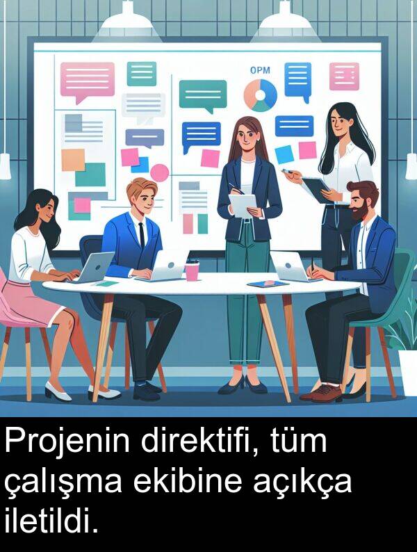 açıkça: Projenin direktifi, tüm çalışma ekibine açıkça iletildi.