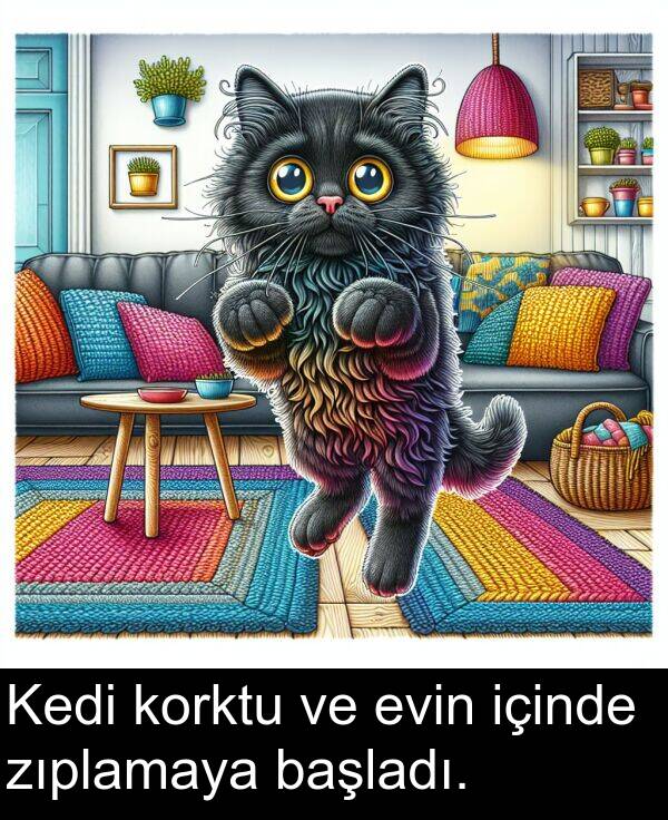 içinde: Kedi korktu ve evin içinde zıplamaya başladı.