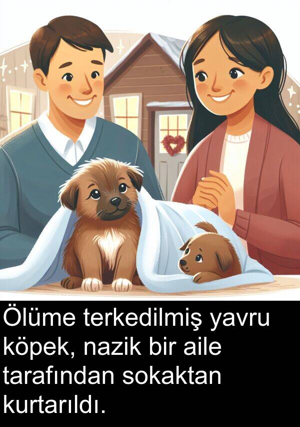 aile: Ölüme terkedilmiş yavru köpek, nazik bir aile tarafından sokaktan kurtarıldı.