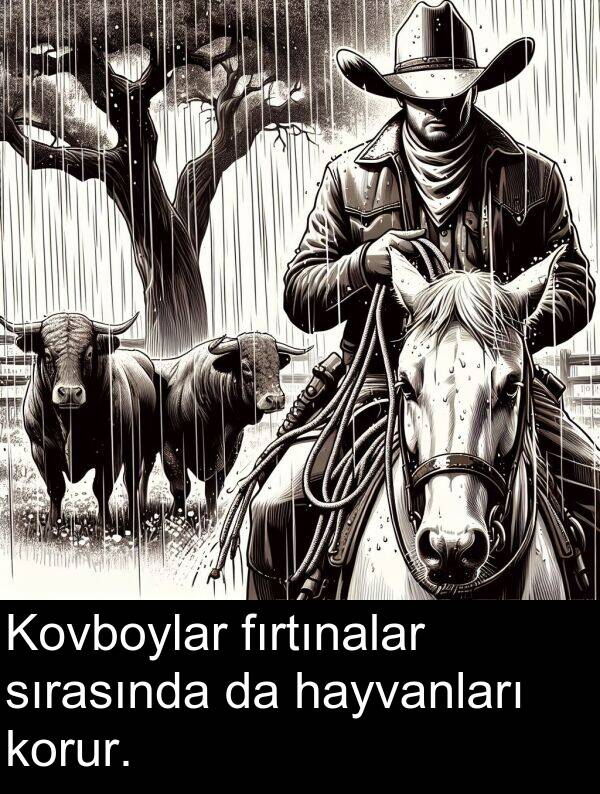 fırtınalar: Kovboylar fırtınalar sırasında da hayvanları korur.