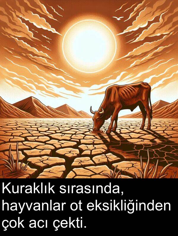 acı: Kuraklık sırasında, hayvanlar ot eksikliğinden çok acı çekti.