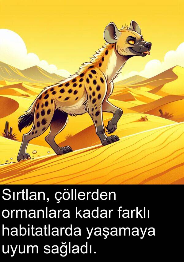 sağladı: Sırtlan, çöllerden ormanlara kadar farklı habitatlarda yaşamaya uyum sağladı.