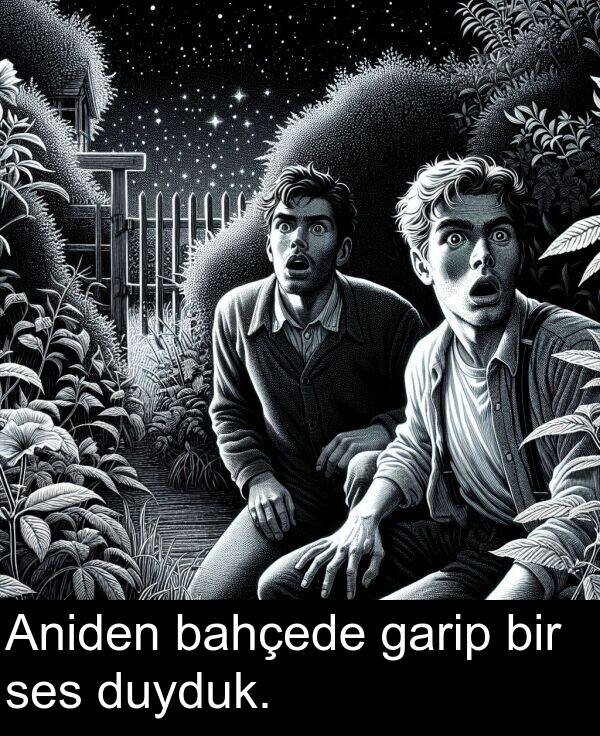 garip: Aniden bahçede garip bir ses duyduk.