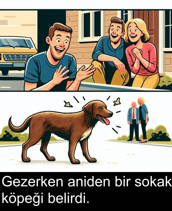 aniden: Gezerken aniden bir sokak köpeği belirdi.