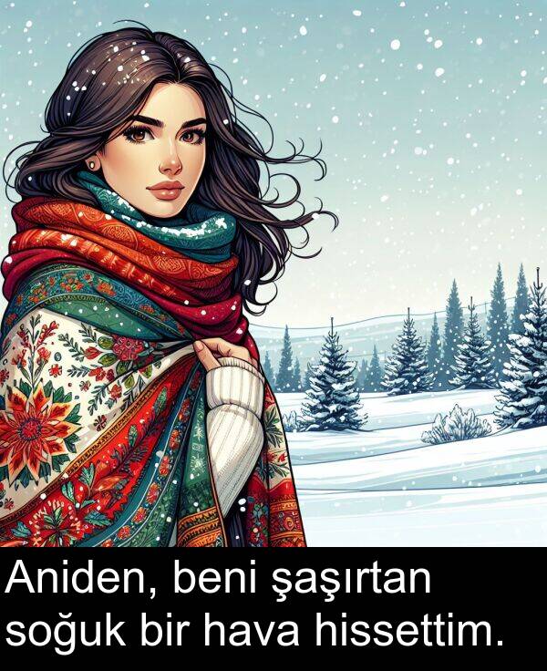 hava: Aniden, beni şaşırtan soğuk bir hava hissettim.