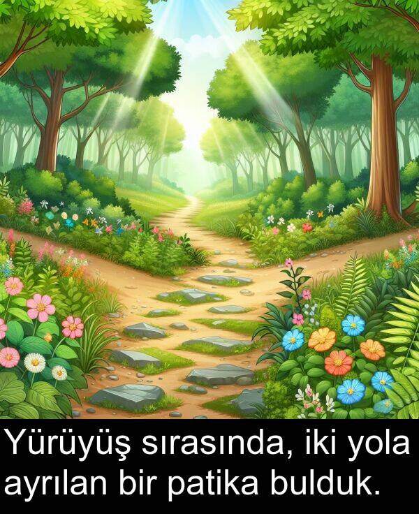 sırasında: Yürüyüş sırasında, iki yola ayrılan bir patika bulduk.