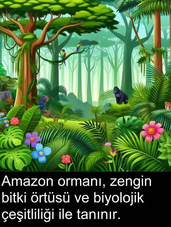 bitki: Amazon ormanı, zengin bitki örtüsü ve biyolojik çeşitliliği ile tanınır.
