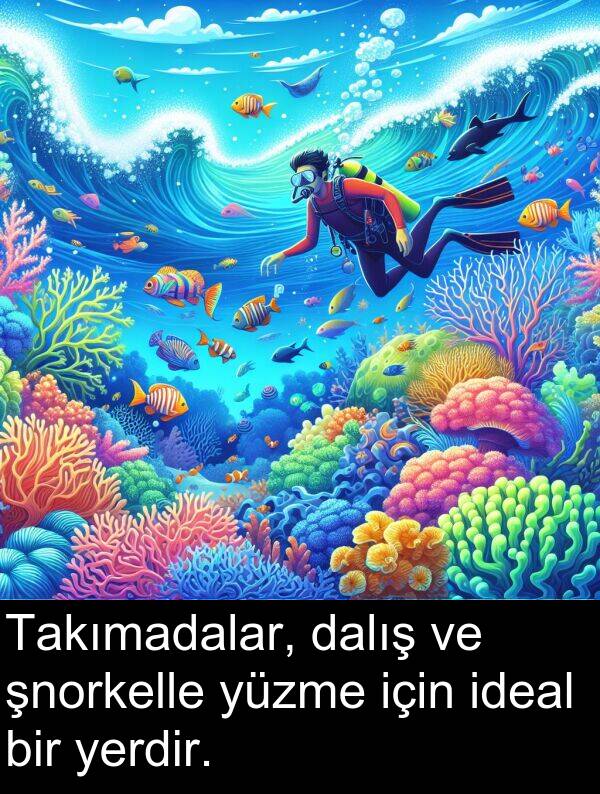 ideal: Takımadalar, dalış ve şnorkelle yüzme için ideal bir yerdir.