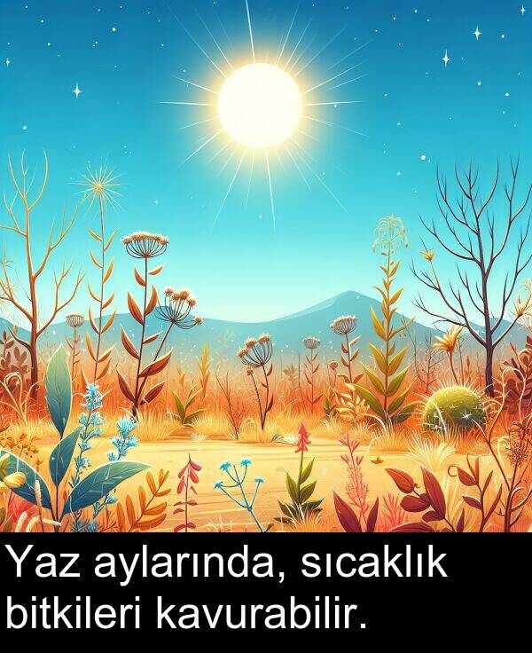 aylarında: Yaz aylarında, sıcaklık bitkileri kavurabilir.