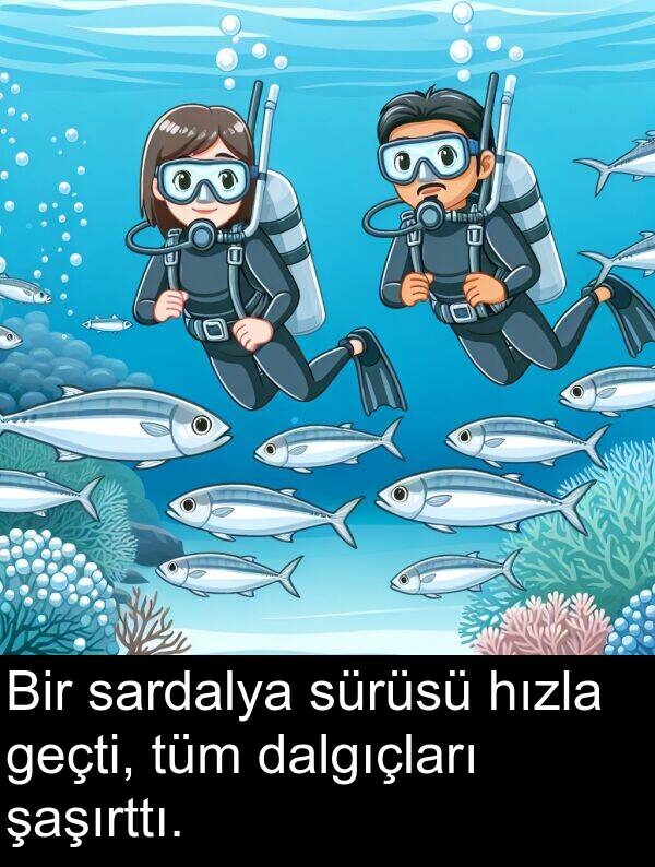 sardalya: Bir sardalya sürüsü hızla geçti, tüm dalgıçları şaşırttı.