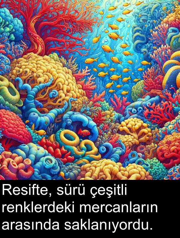 saklanıyordu: Resifte, sürü çeşitli renklerdeki mercanların arasında saklanıyordu.