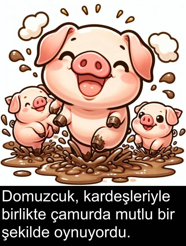 çamurda: Domuzcuk, kardeşleriyle birlikte çamurda mutlu bir şekilde oynuyordu.