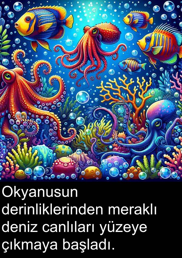 yüzeye: Okyanusun derinliklerinden meraklı deniz canlıları yüzeye çıkmaya başladı.