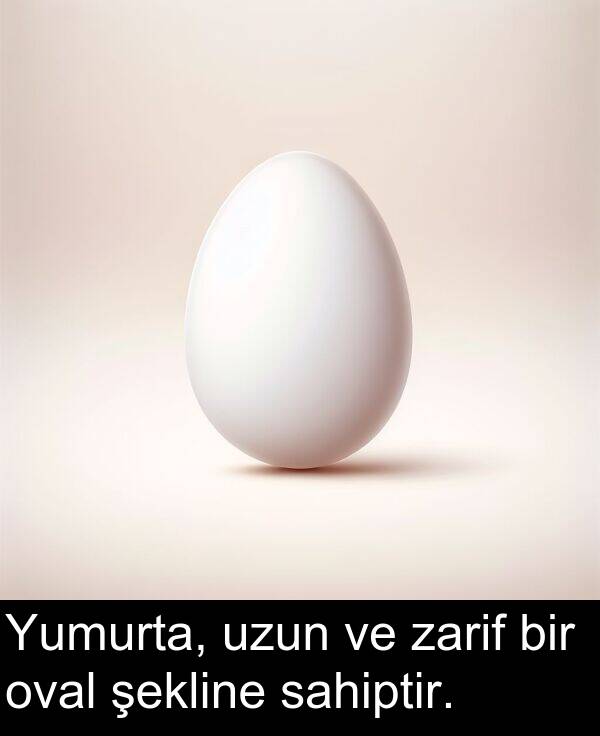 sahiptir: Yumurta, uzun ve zarif bir oval şekline sahiptir.