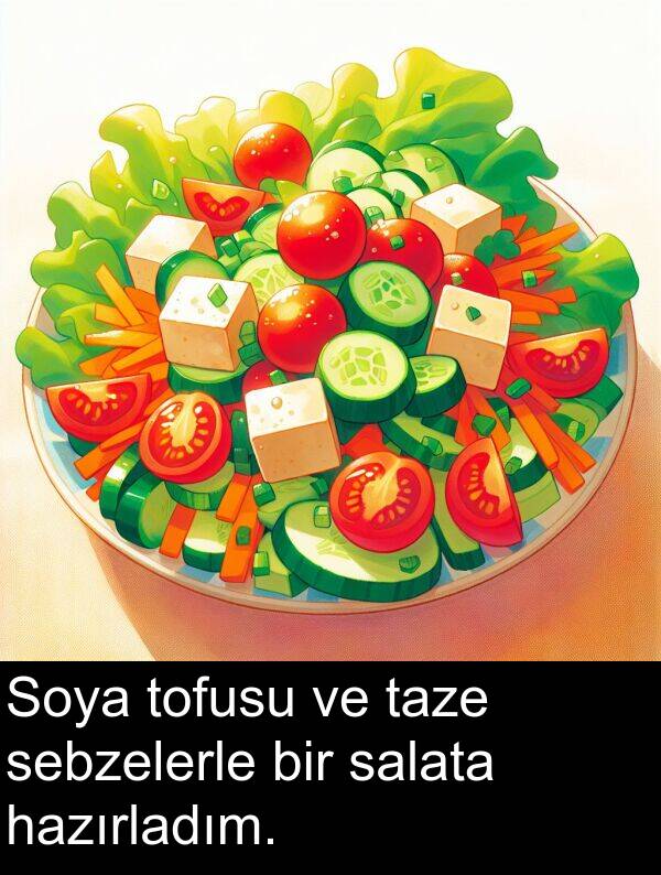hazırladım: Soya tofusu ve taze sebzelerle bir salata hazırladım.
