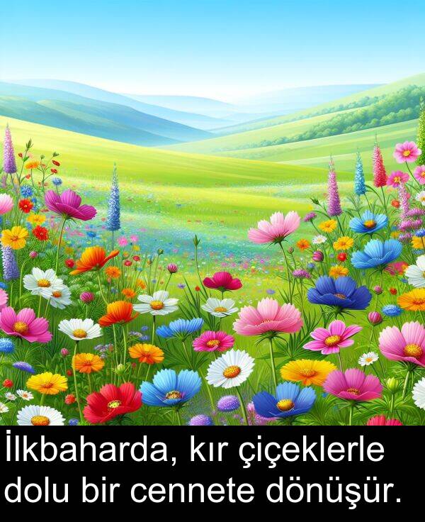 kır: İlkbaharda, kır çiçeklerle dolu bir cennete dönüşür.