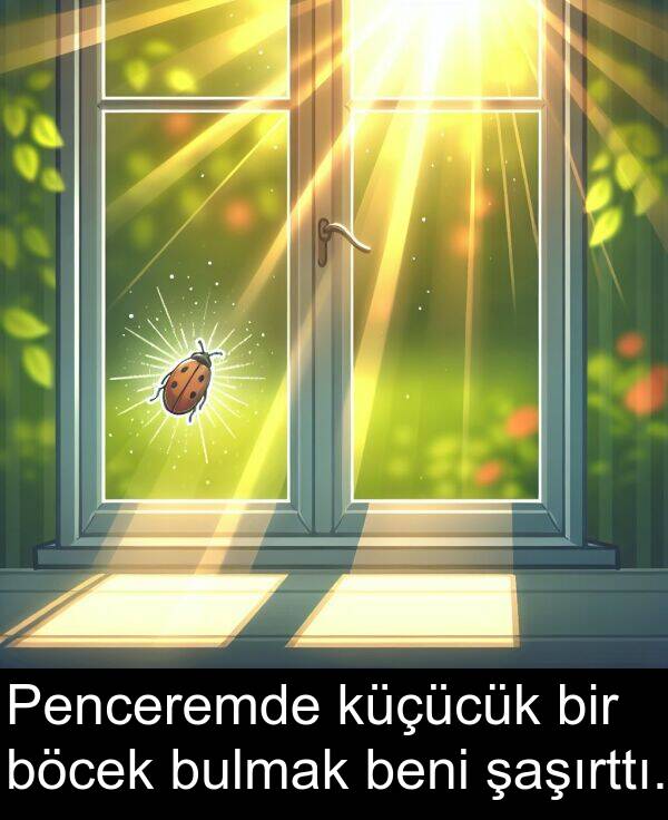 küçücük: Penceremde küçücük bir böcek bulmak beni şaşırttı.