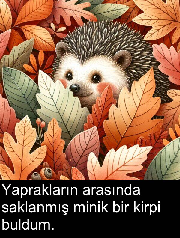 saklanmış: Yaprakların arasında saklanmış minik bir kirpi buldum.