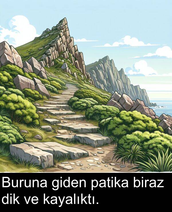patika: Buruna giden patika biraz dik ve kayalıktı.