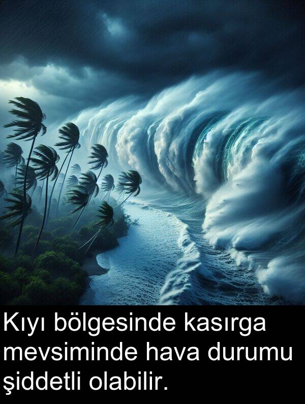 hava: Kıyı bölgesinde kasırga mevsiminde hava durumu şiddetli olabilir.