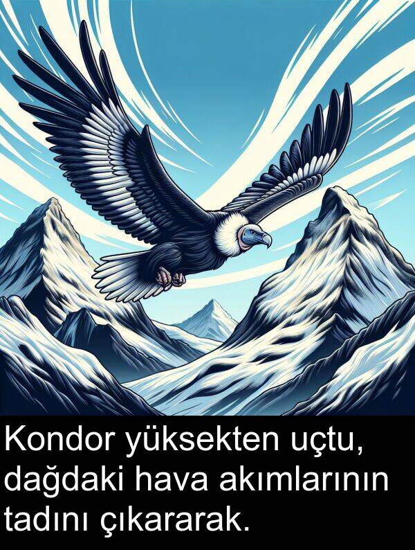 uçtu: Kondor yüksekten uçtu, dağdaki hava akımlarının tadını çıkararak.